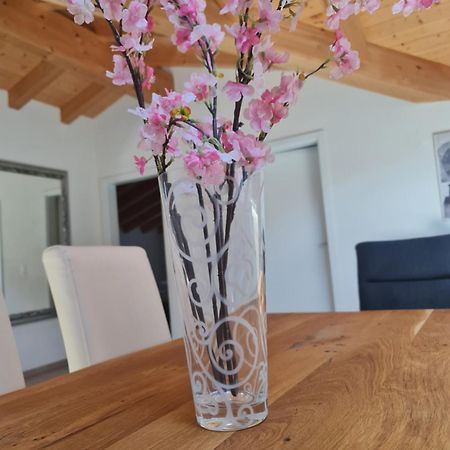 Jungfrau Penthouse - Aare Jungfrau Ag Daire Wilderswil Dış mekan fotoğraf