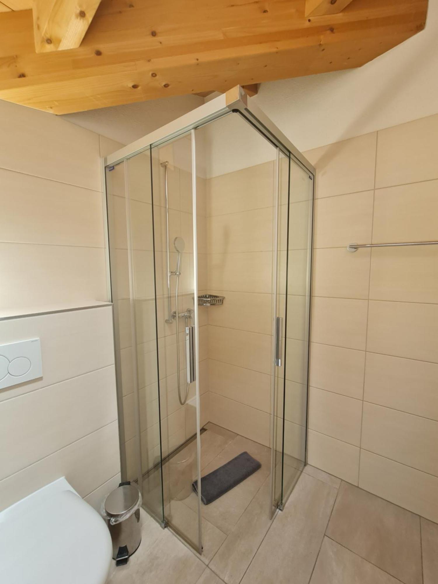 Jungfrau Penthouse - Aare Jungfrau Ag Daire Wilderswil Dış mekan fotoğraf